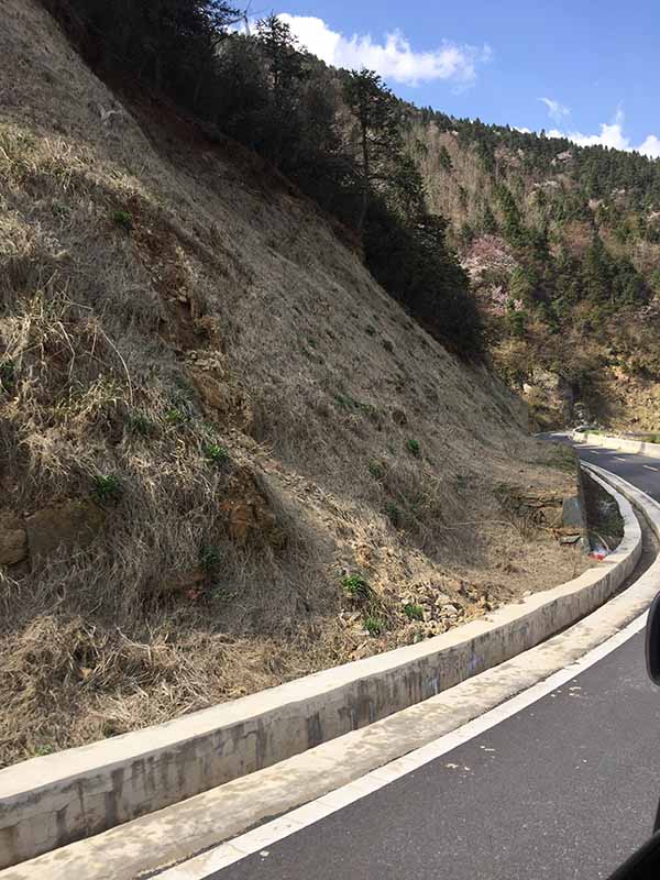 大熊山项目奶茶视频APP下载前1