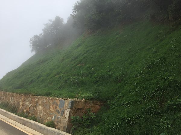 大熊山项目奶茶视频APP下载后1